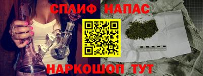 СК Краснознаменск