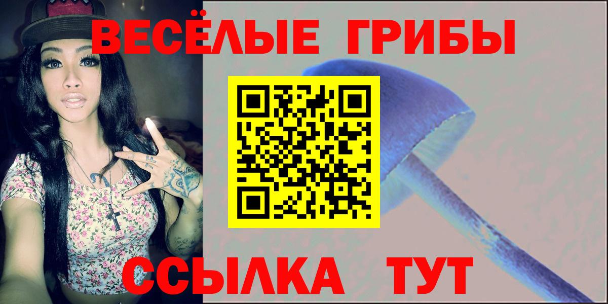 Галлюциногенные грибы MAGIC MUSHROOMS  Вход с VPN  Галлюциногенные грибы Psilocybe  Копейск 